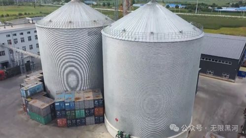 牢記囑托 奮力開創(chuàng)高質(zhì)量發(fā)展新局面丨黑河自貿(mào)片區(qū) 跨境產(chǎn)業(yè)集聚 構(gòu)筑向北開放新高地